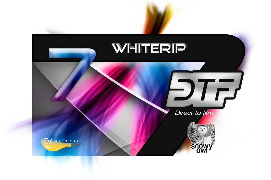 This image features a modern, dynamic logo design with various elements combined. At the forefront is a bold, slanted number 7 in a sleek blue font that overlaps with a similarly styled letter 'Z' in grey, creating a layered effect. Behind these characters, there is a vibrant, multicolored abstract swirl with shades of pink, blue, yellow, and purple, giving the impression of motion or digital speed. Below the number 7, the word 'WHITERIP' is displayed in capital letters, with 'RIP' in a contrasting white font, while 'WHITE' is in the same blue as the number 7. To the right of this, 'DTF' appears in a large, metallic font, and below it, the phrase 'Direct to film' is written in a smaller, sans-serif typeface. A small logo for 'EV Network' is positioned in the bottom left corner of the image, and a graphic of a snowy owl is present in the bottom right corner, adding an element of natural imagery to the otherwise tech-centric design. The background is a gradient of dark grey tones that complement the overall futuristic and high-tech aesthetic.